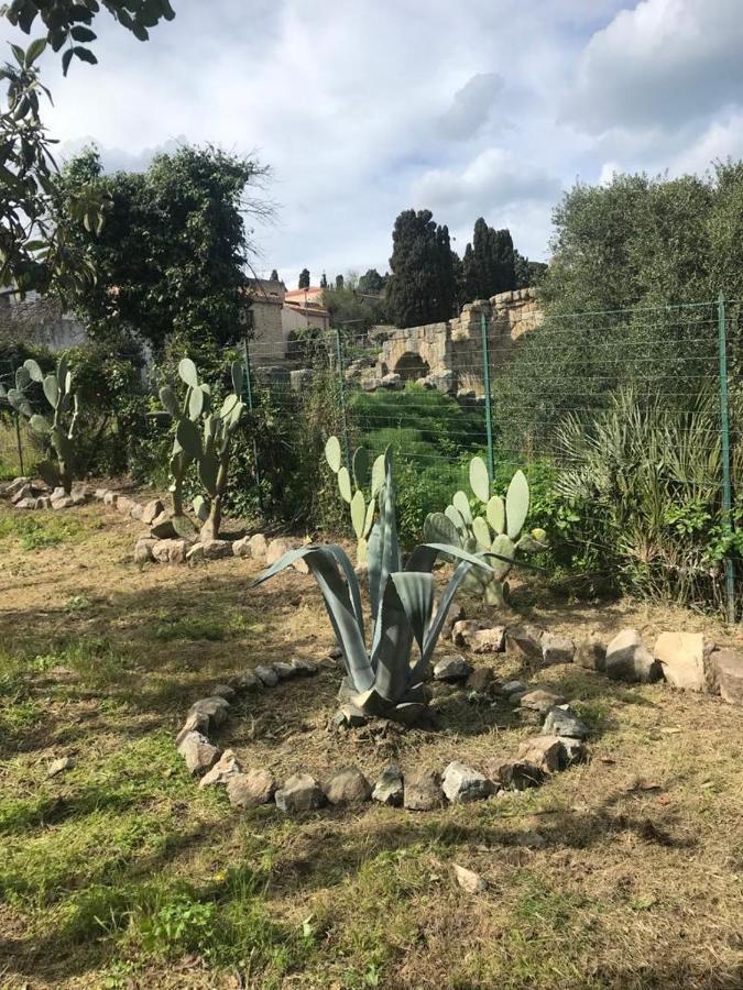 L'Ulivo In Villa Greco Tyndaris Extérieur photo
